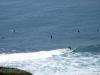 Image: Tanktop - Leo Carillo Campout 2008 45.JPG